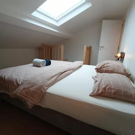 Charmoso * Brüksel