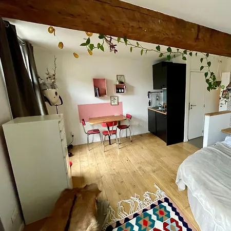 Cozy Studio-city Center 公寓 *