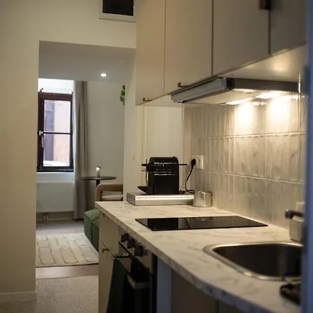 アパート Avec Mezzanine Et Terasse *