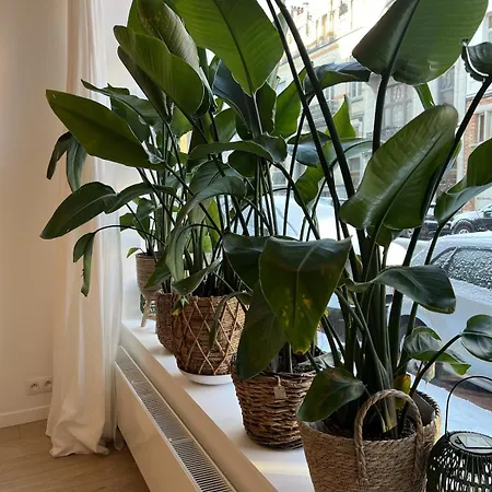 Modern & Elegant Near Montgomery Apartment *