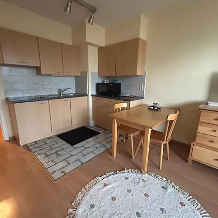 Modern With Garden Terrace Near Eu District *