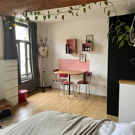 Cozy Studio-city Center *