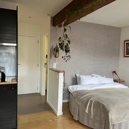 Cozy Studio-city Center 아파트 *