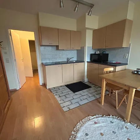 Modern With Garden Terrace Near Eu District Apartment *