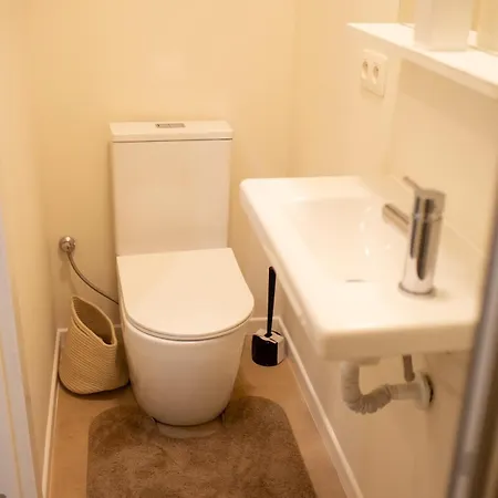 Appartement Avec Mezzanine Et Terasse