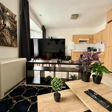 Elegant Close To The European Parliament Lejlighed Bruxelles