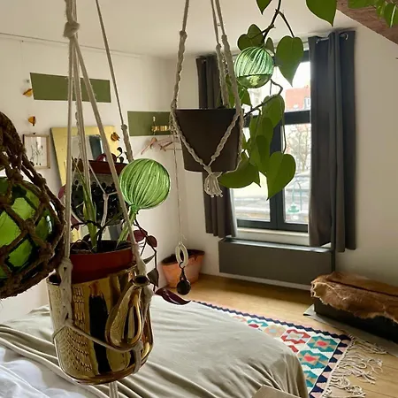 Cozy Studio-city Center * 브뤼셀