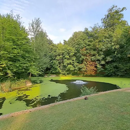 Bright And Cosy In *