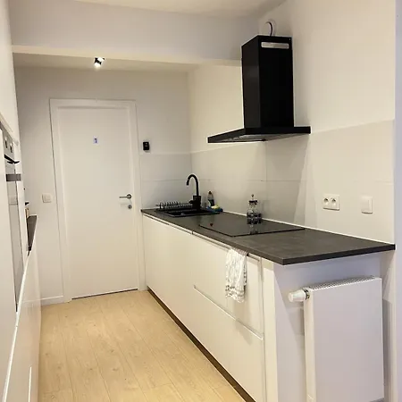 Modern & Elegant Near Montgomery Apartment