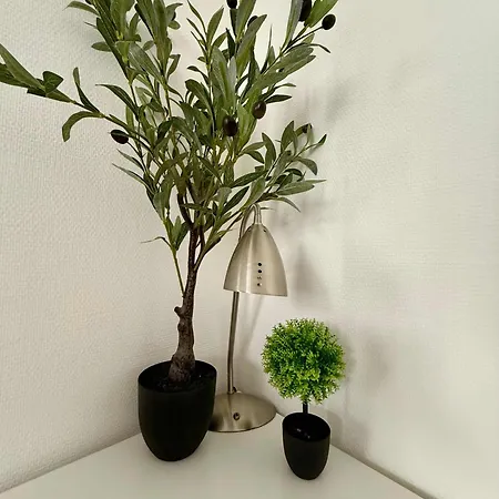 Lejlighed Elegant Close To The European Parliament *