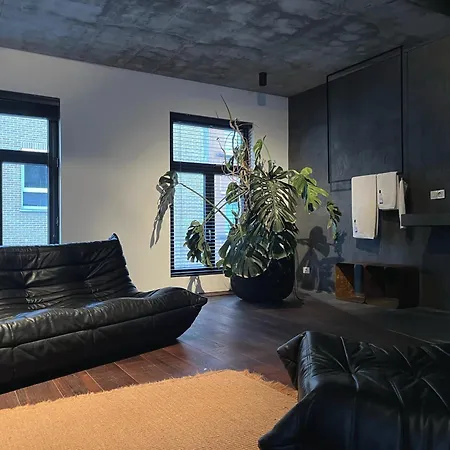 Teddy Picker Brüsszel