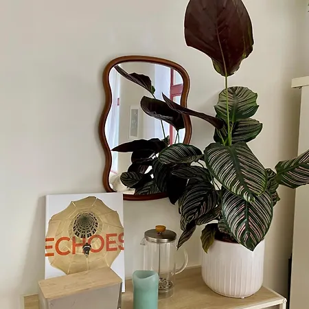 Cozy Apartment In Brussels City Center Matonge District Διαμέρισμα Βρυξέλλες