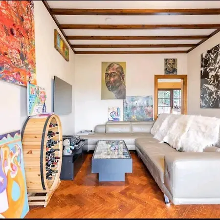 & Wellness Area Jacuzzi Sauna Massage Table