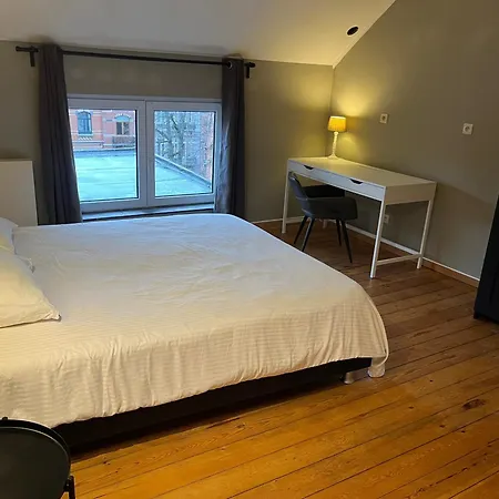 Eu District Mansion Brüsszel