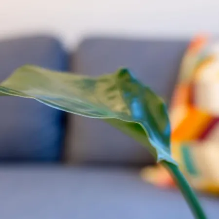 Lejlighed Zoe's World *