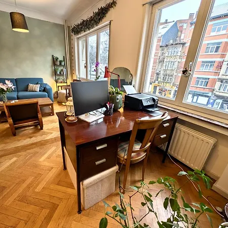 Spacious In Apartamento Bruselas