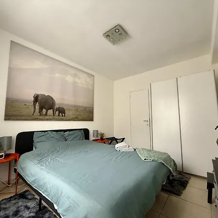 Apartamento Elegant Close To The European Parliament *