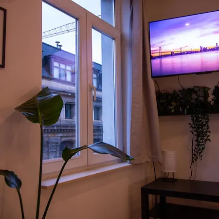 Appartement 1 Chambre