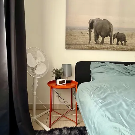 Elegant Close To The European Parliament Bruselas