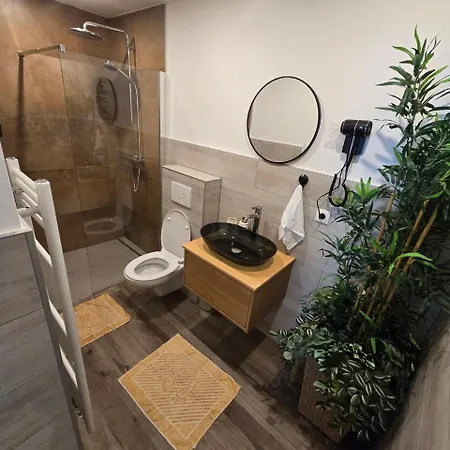 Plantin 4 Apartment *