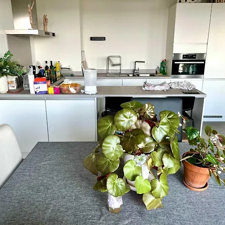 아파트 Family-friendly Steps From Atomium - Center 6 Min 브뤼셀