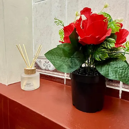 Lovely And Cosy 7 Min From Gare Du Midi For 3-4 People דירה בריסל