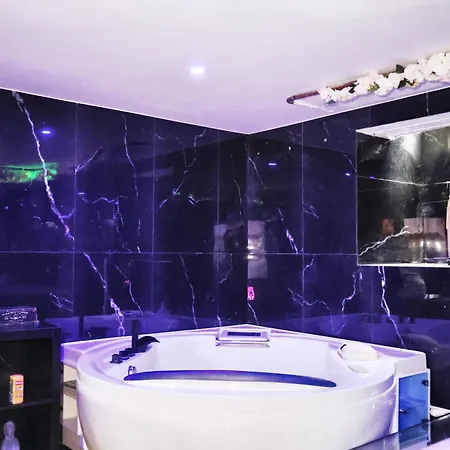 Villa & Wellness Area Jacuzzi Sauna Massage Table Bruxelles