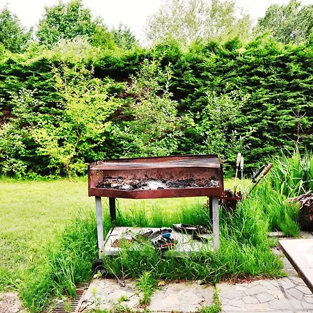 & Wellness Area Jacuzzi Sauna Massage Table