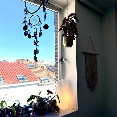 Cozy 1 Bedroom