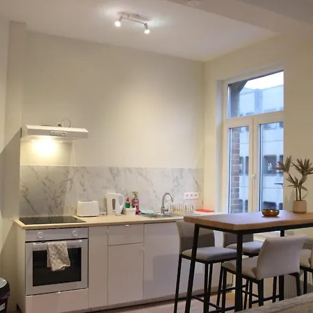 Moderne,5pers,acces Facile Au Centre,berchem בריסל
