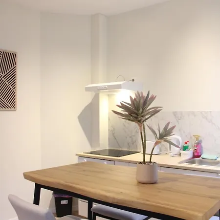Moderne,5pers,acces Facile Au Centre,berchem בריסל