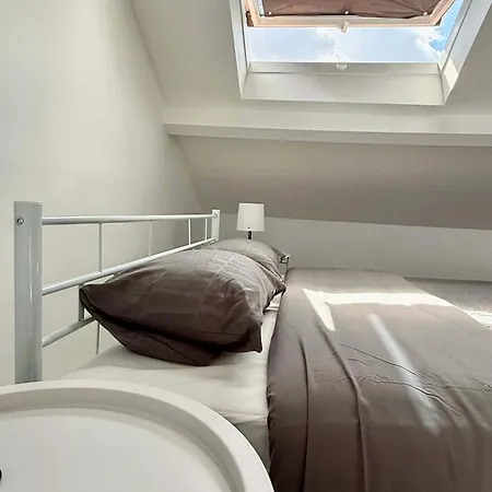 Jolie & Doux Petit Nid Perche Avec Vue Magique Sur La For 2