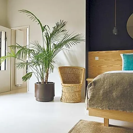 Latroupe Jardin Secret Hotel