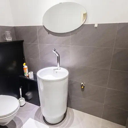 Spacious House With Large Garden In Jette * Brussels