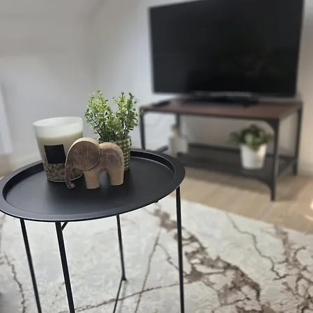 Le Brun Elegance - Brussels, Forest National Apartment Brussels