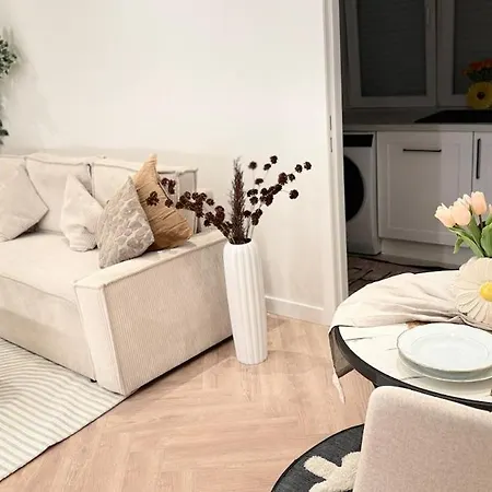 Entire Apartment, High Standing, Modern And Cozy Apartment *