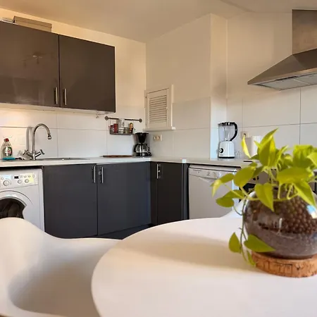 Le Cocon De Saint-gilles - Cosy For 4 Apartment Brussels