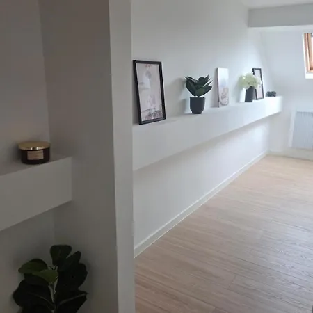 Apartment Le Brun Elegance - Brussels, Forest National