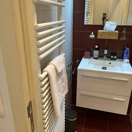 Apartment Louise Prestige Suite-brussels Center *