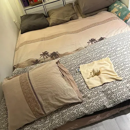 Petite Magnifique De 1,30 Cm A Midi