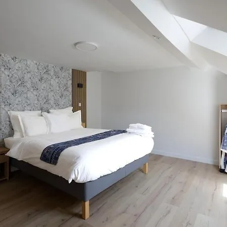 Cozy, Bright 2-bedroom Duplex In Brussels-laeken Bryssel