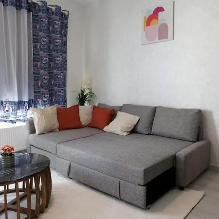Cozy, Bright 2-bedroom Duplex In Brussels-laeken