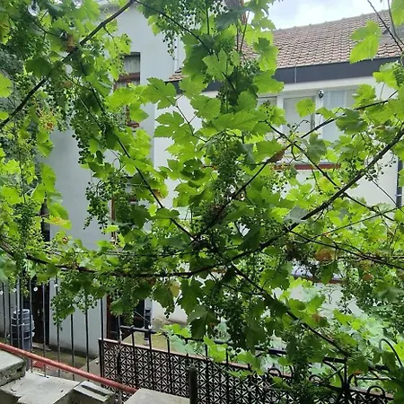 Professionally Designed In Saint-josse-ten-noode Apartment Brussels