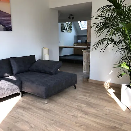Spacious In An Authentic Mansion Apartment *
