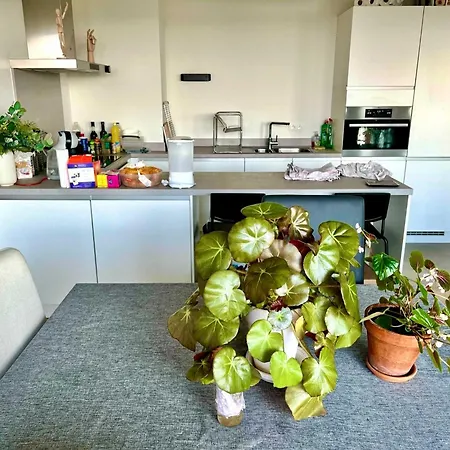 Lovely And Cosy Elegant Near Atomium, Ideal For Families *