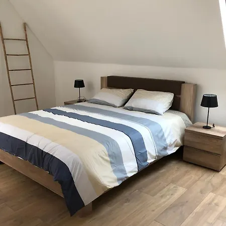 Spacious In An Authentic Mansion Brussels