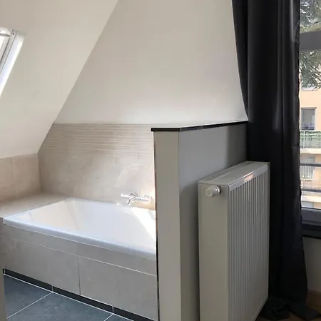 Spacious In An Authentic Mansion Apartment