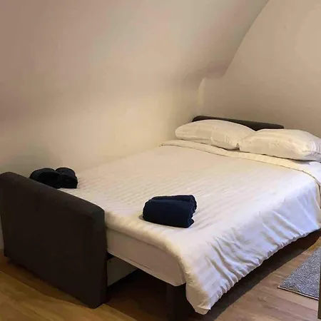 Spacious In An Authentic Mansion Brussels