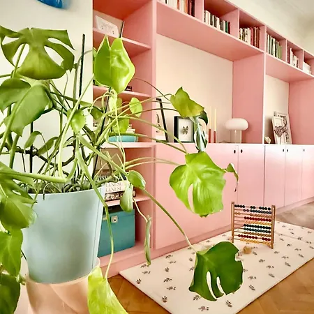 Apartman 2 Bedrooms - Baby Crib & Furnished Terrace In Lovely *