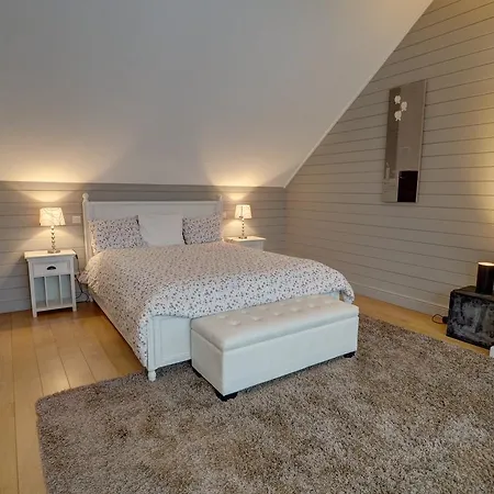 Appartement House In The City Brussel